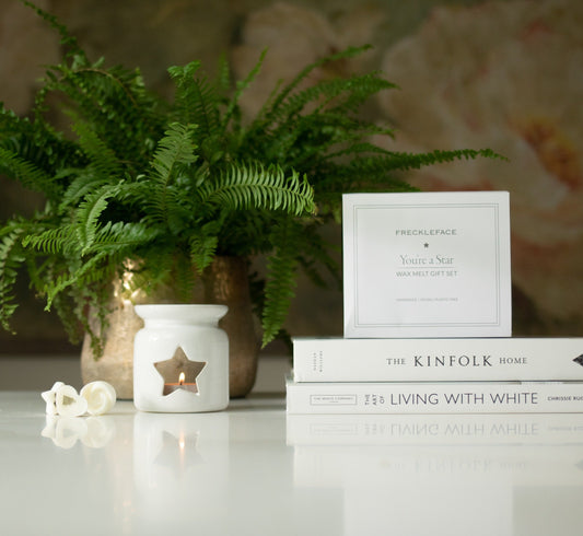 Wax Melters & Aroma Diffusers