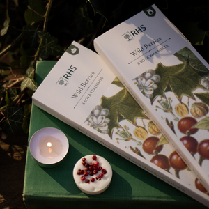 RHS Heritage Tea Lights