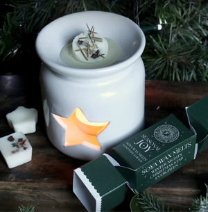 Wax Melt Christmas Cracker