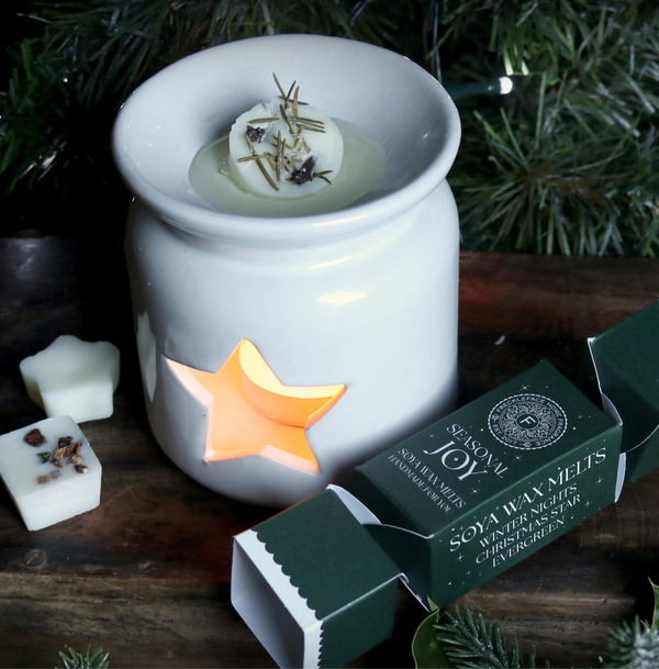 Wax Melt Christmas Cracker