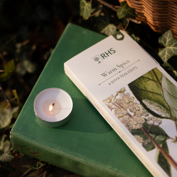 RHS Heritage Tea Lights