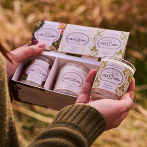 Laura Ashley Trio of Candles