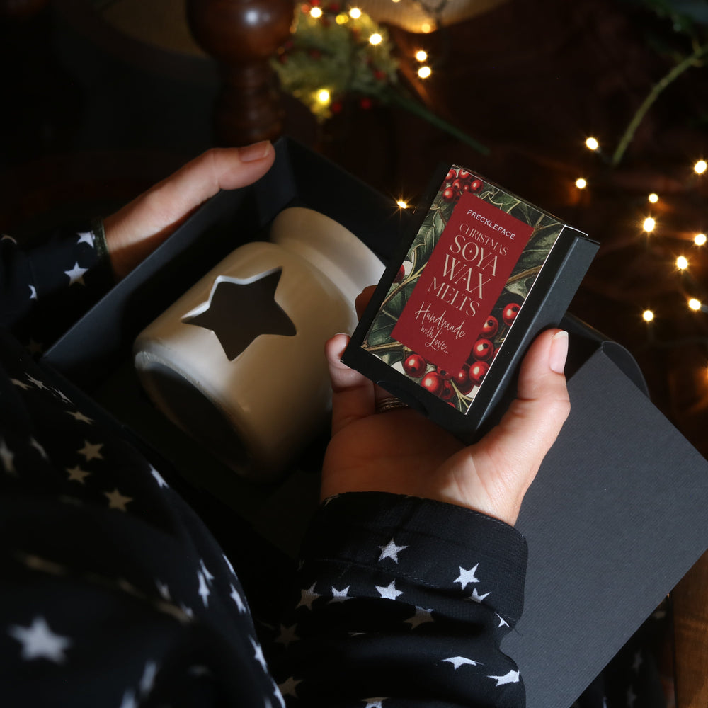 Winterberry Wax Melt Gift Set