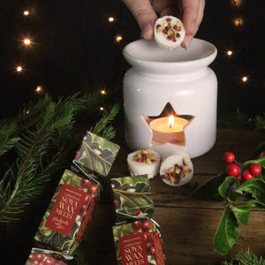 Wax Melt Christmas Cracker