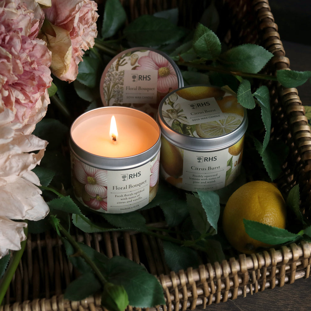 RHS Heritage Tin Candle