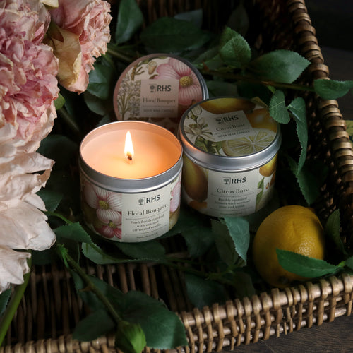 RHS Heritage Tin Candle