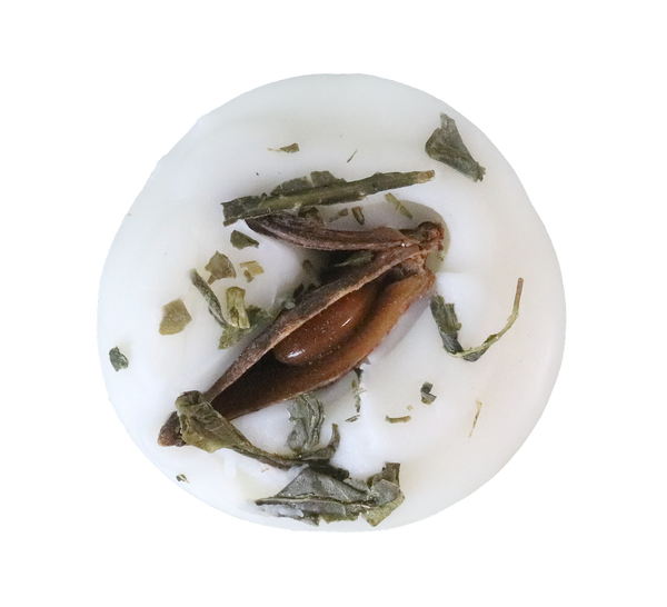 Spiced Pumpkin & Oakmoss