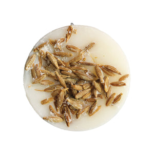 Spiced Nutmeg